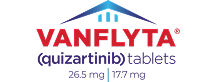 Vanflyta Logo